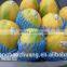 Best Price Custom Fresh Fruit Industry Use EPE Foam Material Papaya Packing Net