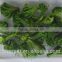 Vacuum Fried Dried Vegetables Chips-VF dried broccoli for sales