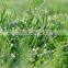Anti-frost net ,crop net , Thermal Net / 23301-38