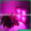 Full Spectrum Cob Led Plant Growth Light 300w 400w 800w Battery Operated Led Plant Indoor Light