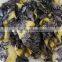 mixed colors worsted wool pashmina shawl