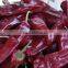 supply yidu chili