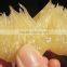 fruit importer fresh pomelo