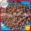 Import peanut kernel processing plant