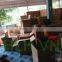 Hoang Long Handicraft Co., Ltd