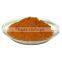 GMP factory supply high quality Grape Seed Extract powder