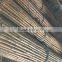 bamboo fense