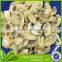 fresh champion mushrooms in can