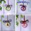 Natural preserved rose flower crafts with various colors