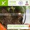 Natural Tea seed meal with straw