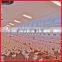 automatic poultry feeding system