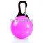 dog collar light, dog safety light, portable LED light