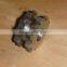 gear knob/12v dc gear motor/fixed gear for bicycle made in china