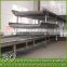 Food Grade Belt Conveyor for Juice Production Line