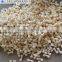 Plastic centrifugal spray nozzles