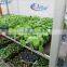 730 Seedling pool rack