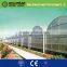 clear plastic film for greenhouse