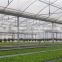 Professional Multi-Span Pvc Covered Greenhouse For Agricultural Planting