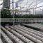 high-tech Greenhouses and Hydroponic Systems