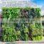 vertical green wall/fake green wall manufacturer