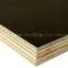 Black Film Faced Plywood