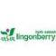 Daxinganling Lingonberry Organic Foodstuffs Co., Ltd