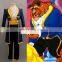 Fantasia Anime Lolita-Hot Selling Beauty and the Beast Prince Adam Cosplay Costume Halloween Party Costumes C0651