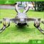 KAWAH Outdoor Playground Decoration Giant Insect Model
