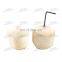 Newest Product Simple Coconut Opener Machine with Wholesale Price,Coconut Drilling/Opening Machine