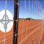 hot sell farm&field fixed knot fence from china