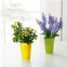 Creative travel portable rainbow cup 7 mould outdoor picnic plastic cup set mould juice cup handy cup mould