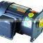 AC gear motor