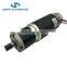 63mm Planetary Gearbox Golf Cart DC Motor, 12V 8N.m, option for Electric Brake