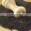 Fine Grade Organic Black Pepper At Your Door Step