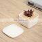 ceramic white square succulent plant pot