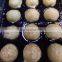 Yummy seafood snack frozen takoyaki for export