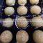 Good quality frozen takoyaki frozen roasted octopus ball