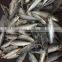 Frozen round scad exporter from China with size 55 - 70 pcs / 10 kg