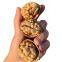 Walnut 2023 New Crop Premium Quality Dried Fruit Walnuts Kernels Without Shell
