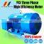 YE3 Series High Efficiency Three-phase Asynchronous Motor YE3-80M1-2