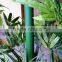 Decorative Artificial Green Bamboo,artificial Bonsai,artificial Bamboo Bonsai,artificial Plants on Sale