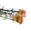 High quality Carnival cheap flower single stem carnation