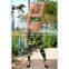New fashion cheap price wholesale colored jeggings