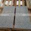 Chinese Cheapest Grey Granite Polished G654 Light Grey Granite Selling