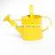 CHINA GARDEN WATERING CAN CHEAP IRON CANS