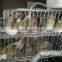 Quail Layer Cage Design ( Whatsapp:86-15932145230)