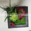 HOT Virbrat Natural Touch Plant Gift Succulent Frame Succulent Plants for wholesale