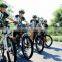 2015 Trendy design mini motor bike batterys electric bicycle export india