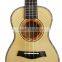 Ukulele Concert Gloss Solid Spruce Hawaii Electric 4 strings 23'' 24''inch High quality maple wood