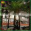 wholesale indoor decoration fiberglass artificial Cyathea spp tree plastic artificial tree fern